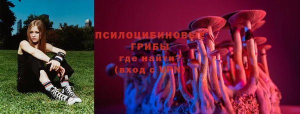 ECSTASY Алексеевка