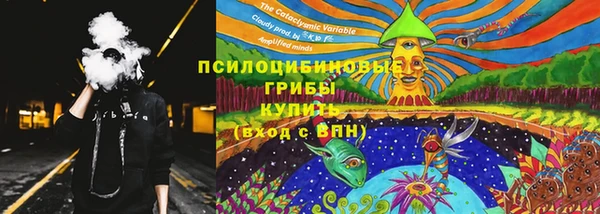 дурь Алексин