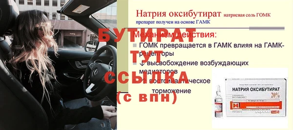 дживик Ельня