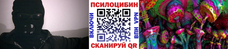 omg ссылки  Киров  Псилоцибиновые грибы Magic Shrooms 